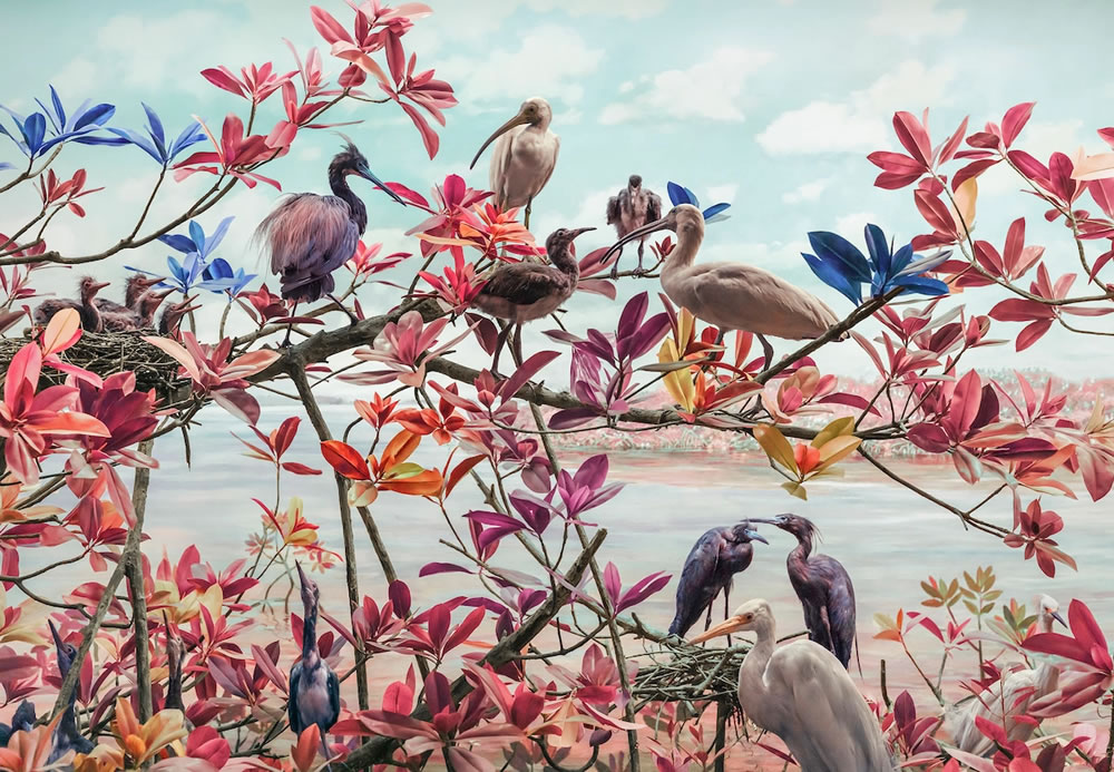 Wildlife Reimagined in Technicolor Dreamscapes By Jim Naughten