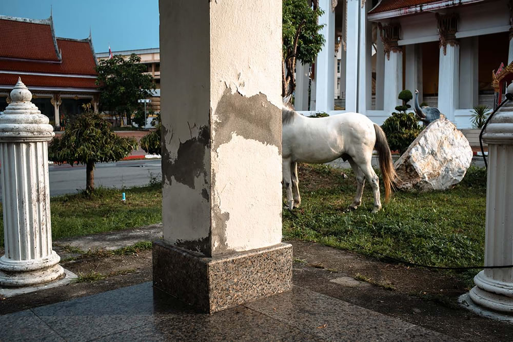 Street: Winners & Merit Awards Of AAP Magazine’s Photo Contest