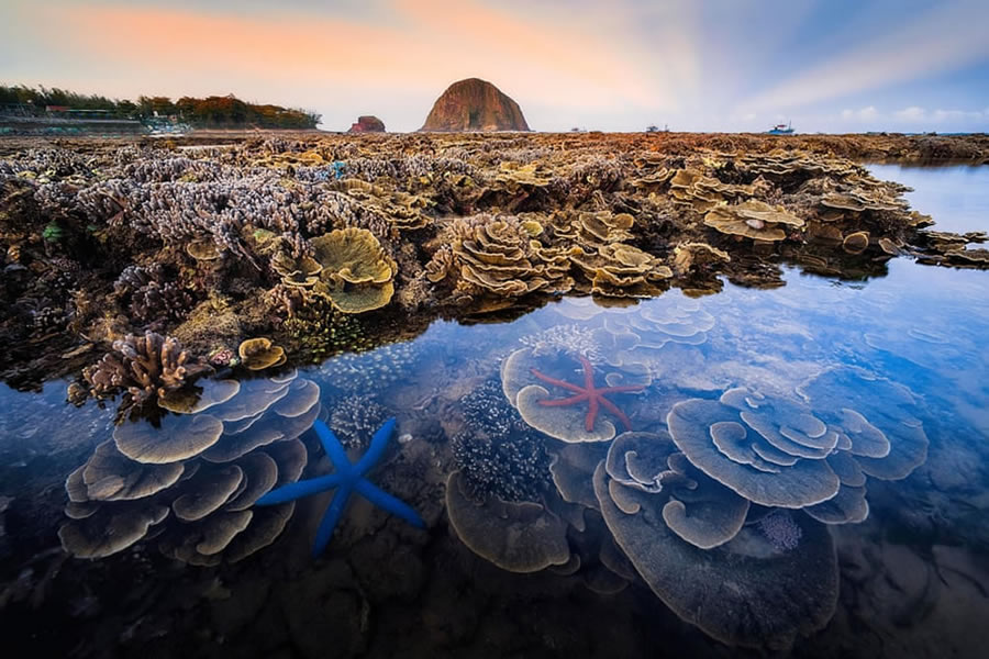 Best Of 2021: Top 45 Award Winning Photos From Around The World 