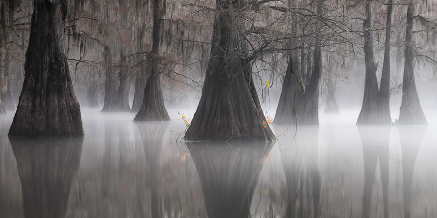 Best Of 2021: Top 45 Award Winning Photos From Around The World 