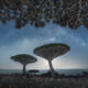 Photographer Daniel Kordan Beautifully Captured Dragon’s Blood Trees of Socotra