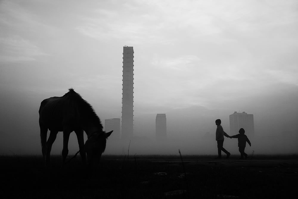 Foggy Winter Morning In Kolkata By Dipanjan Chakraborty