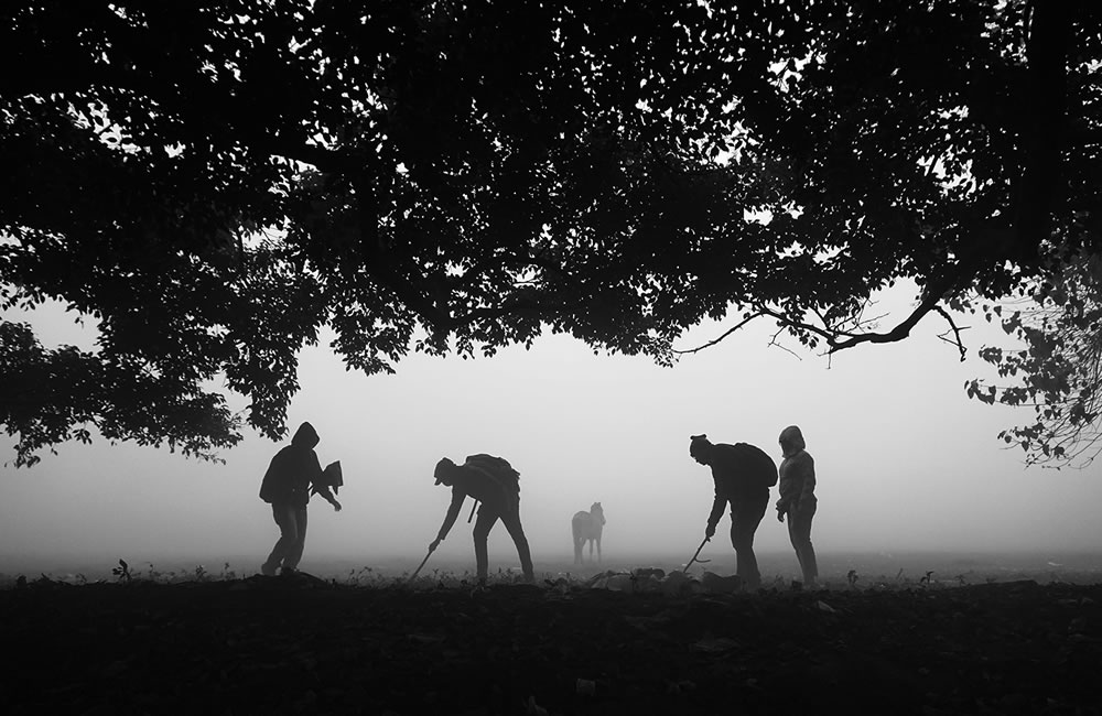 Foggy Winter Morning In Kolkata By Dipanjan Chakraborty