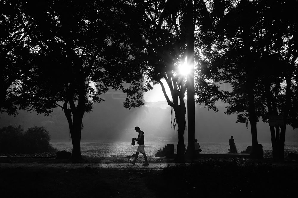 Foggy Winter Morning In Kolkata By Dipanjan Chakraborty