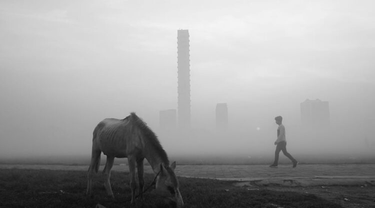 Foggy Winter Morning In Kolkata By Dipanjan Chakraborty