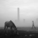 Foggy Winter Morning In Kolkata By Dipanjan Chakraborty