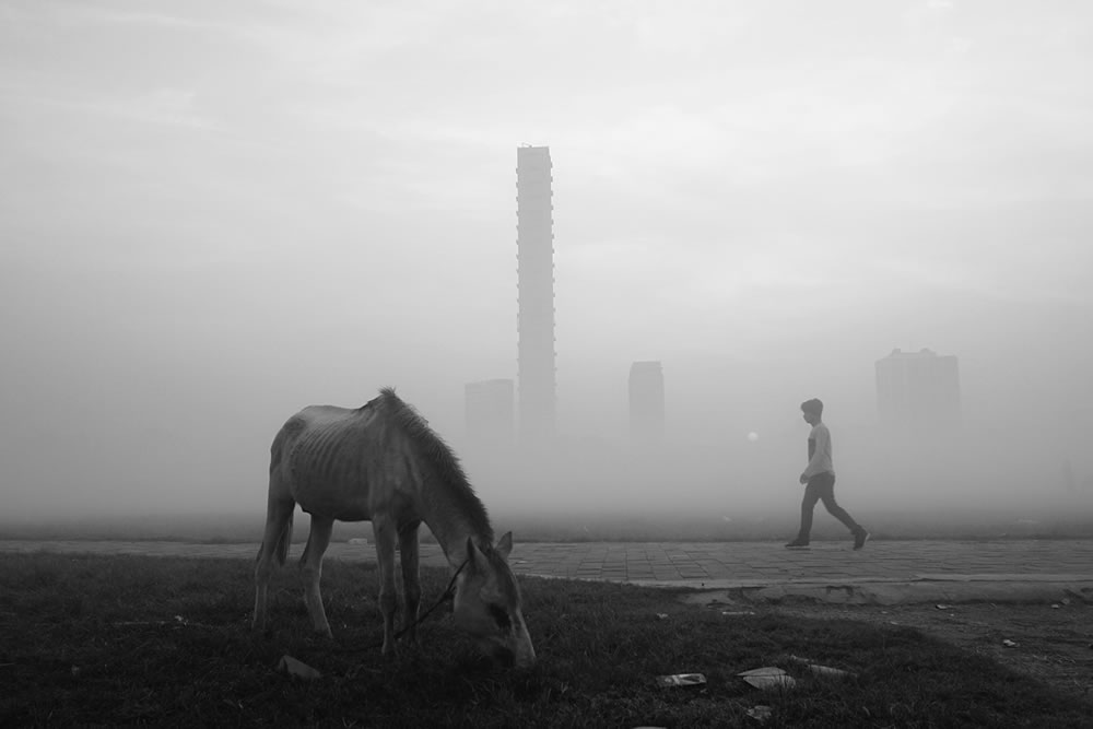 Foggy Winter Morning In Kolkata By Dipanjan Chakraborty