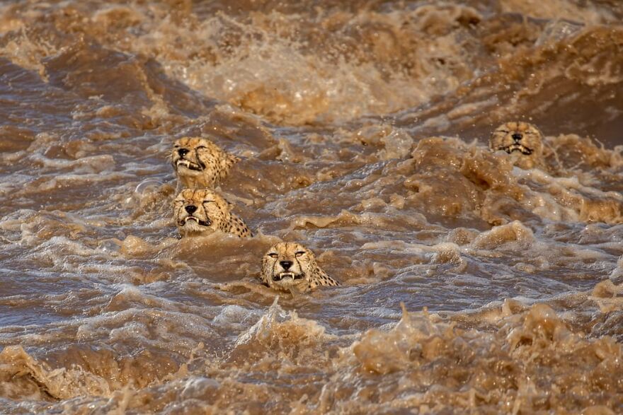 Winning Photos Of The Nature Conservancy Photo Contest Winners 2021