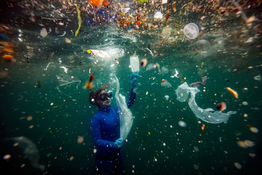 Winning Photos Of The Nature Conservancy Photo Contest Winners 2021