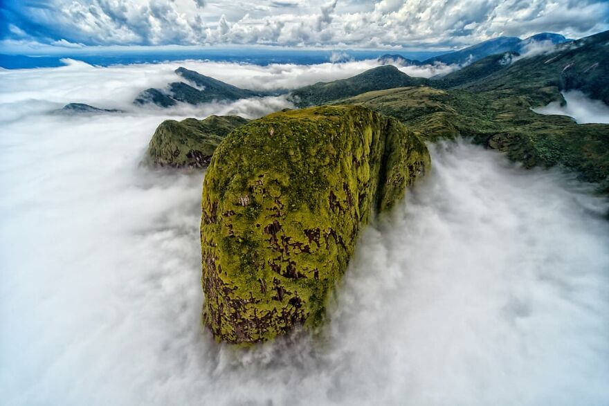 Winning Photos Of The Nature Conservancy Photo Contest Winners 2021