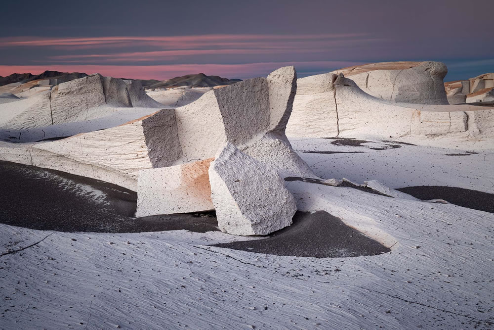 Winning Photos From The Nature Photographer Of The Year Awards