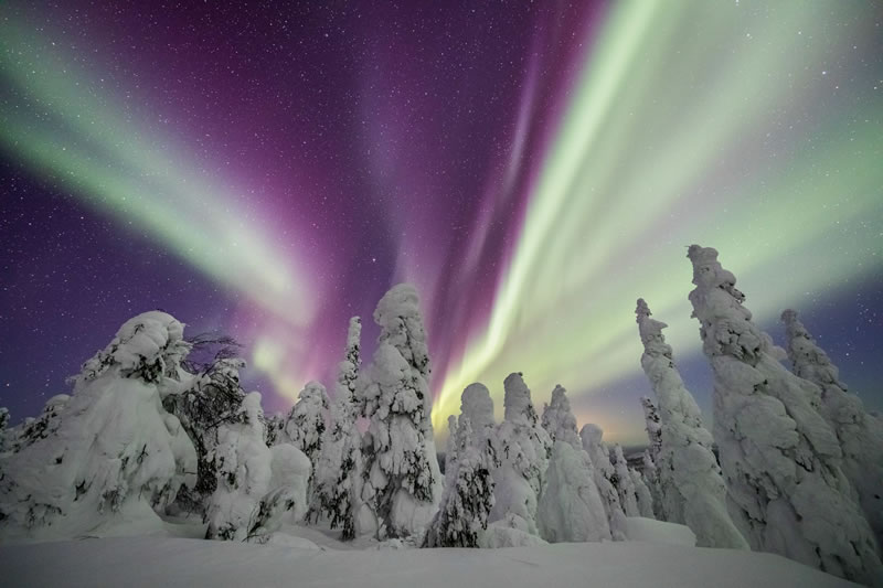 The Beautiful Images From 2021 Northern Lights Photographer Of The Year