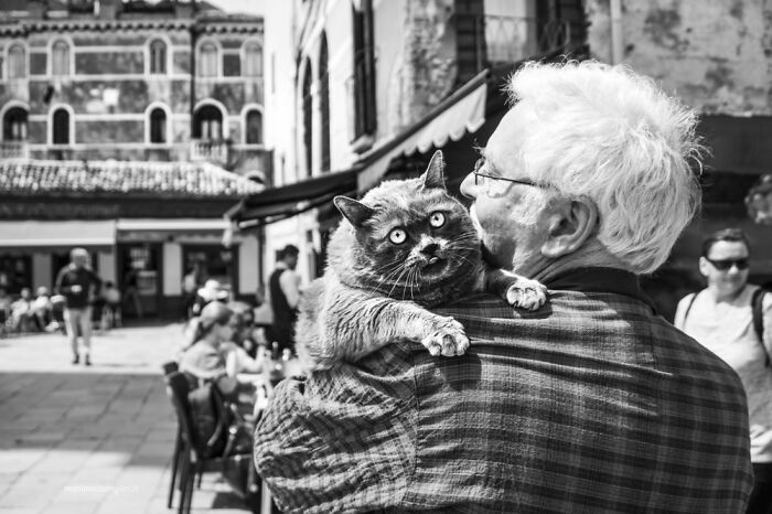 Photographs Of People With Their Cats In Venice, Italy By Marianna Zampieri