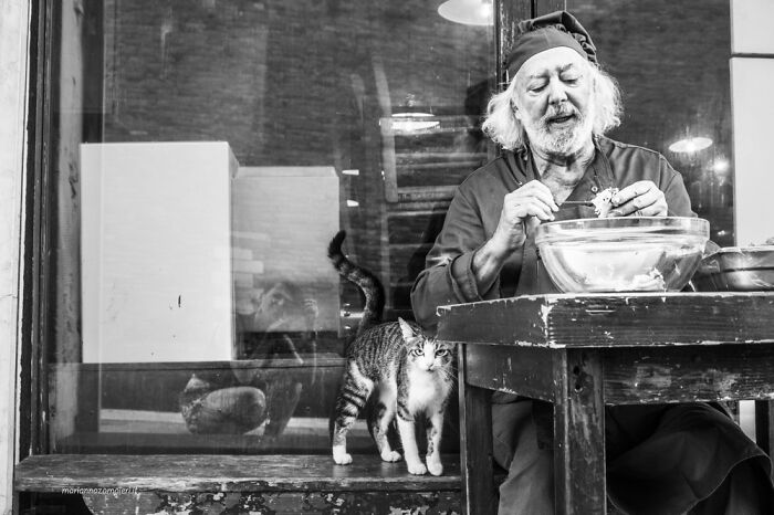 Photographs Of People With Their Cats In Venice, Italy By Marianna Zampieri