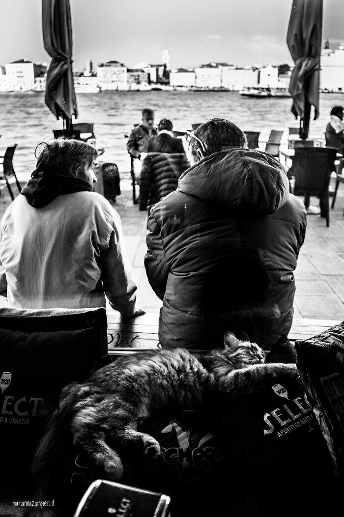 Photographs Of People With Their Cats In Venice, Italy By Marianna Zampieri