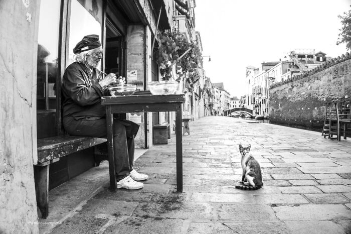 Photographs Of People With Their Cats In Venice, Italy By Marianna Zampieri