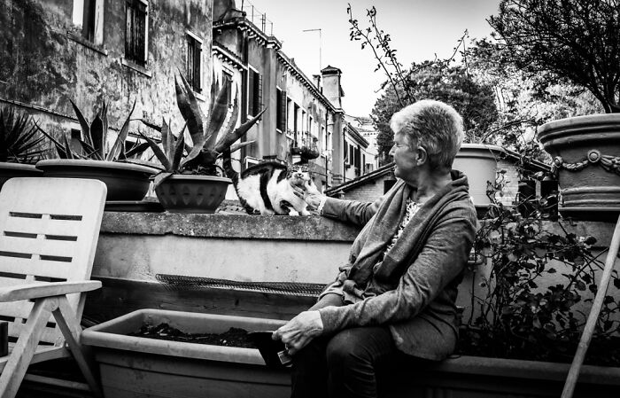 Photographs Of People With Their Cats In Venice, Italy By Marianna Zampieri