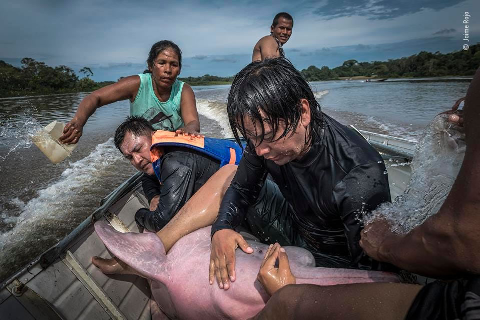 People’s Choice Award For Wildlife Photographer Of The Year 2021