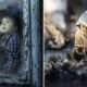 Photographer Captured These Childhood Photographs, That Want To Teleport People To The World Of Wonder