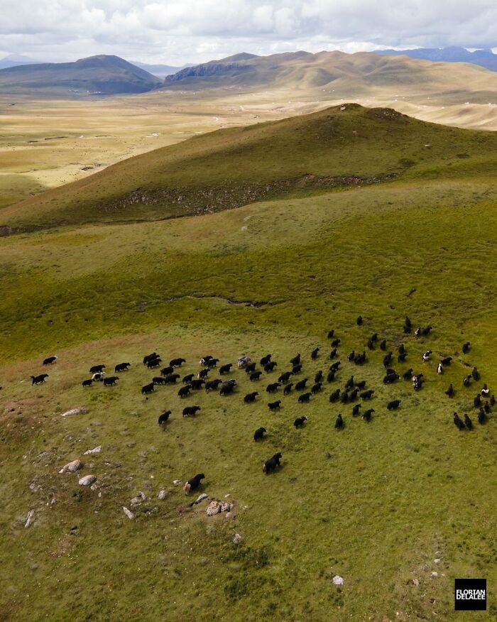 The Beauty Of China From The Air By Florian Delalee