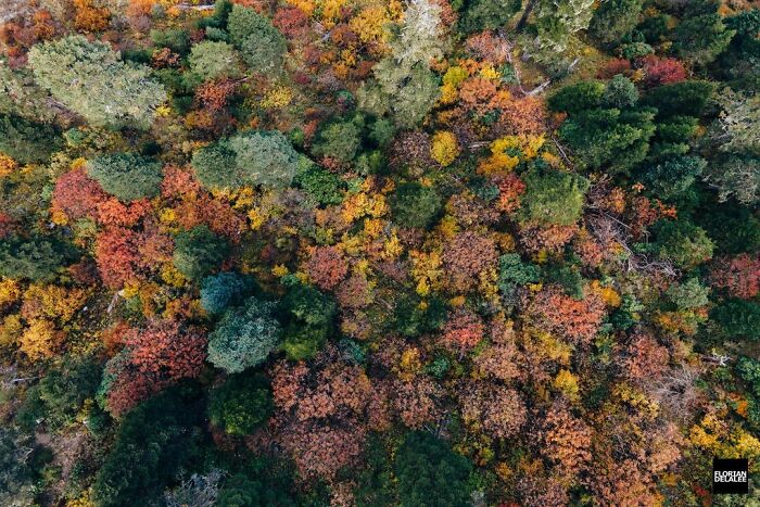 The Beauty Of China From The Air By Florian Delalee