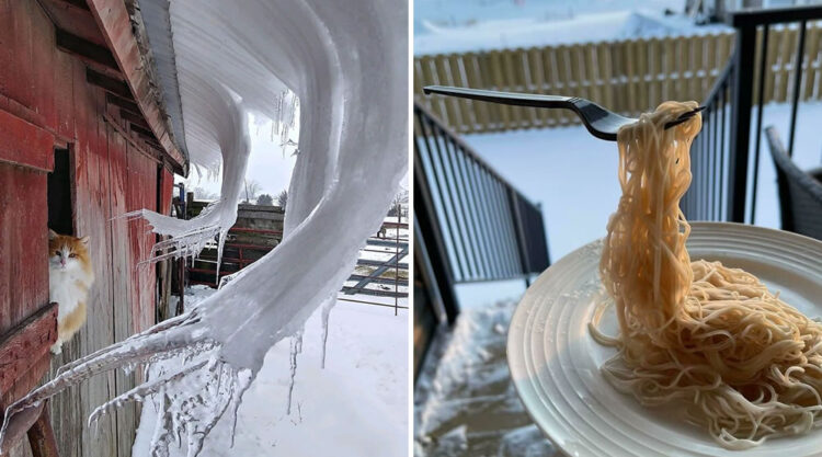 30 Of The Most Amazing Winter Photos, People Just Had To Document It!