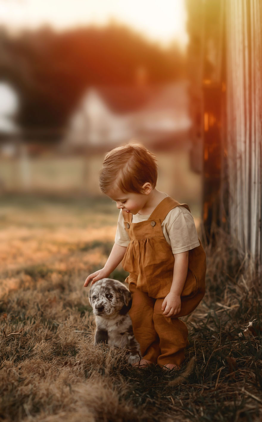 Magical Connection Between Kids And Animals By Andrea Martin