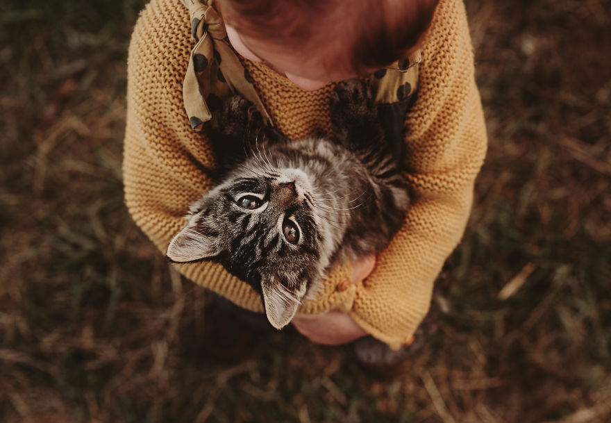 Magical Connection Between Kids And Animals By Andrea Martin