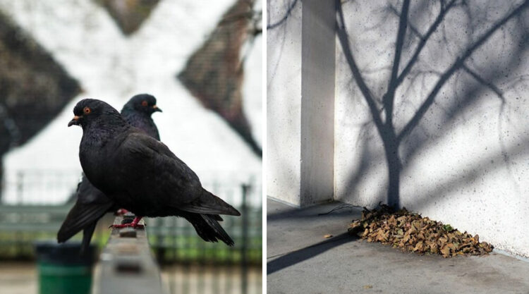 Russian Street Photographer Eric Kogan Captured The Perfectly-Timed Photos (20 Pics)