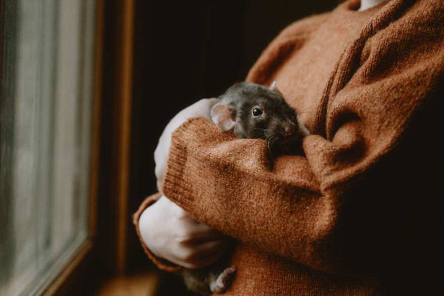 Adorable Photoshoot Of A Girl And Her Pet Rat