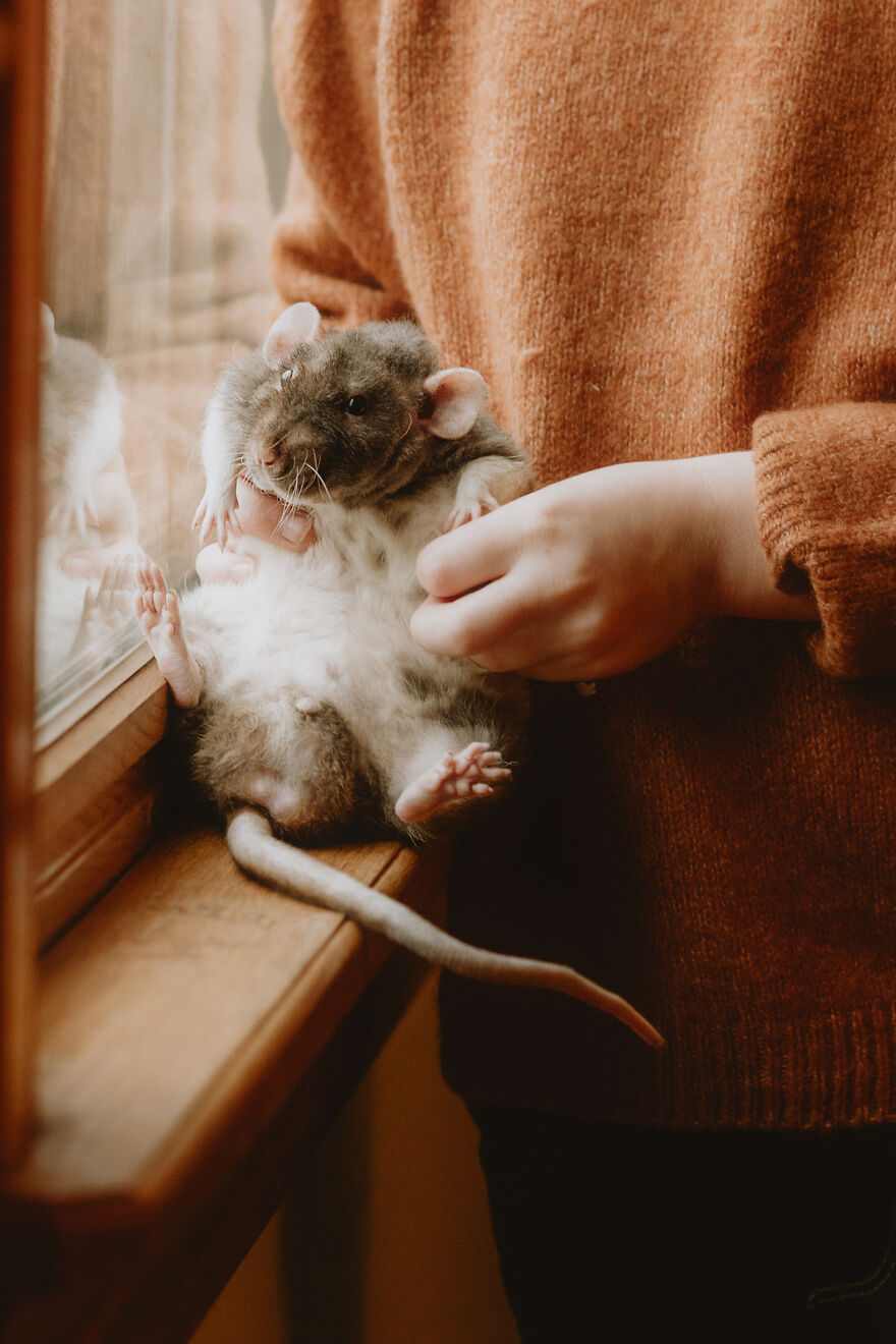 Adorable Photoshoot Of A Girl And Her Pet Rat