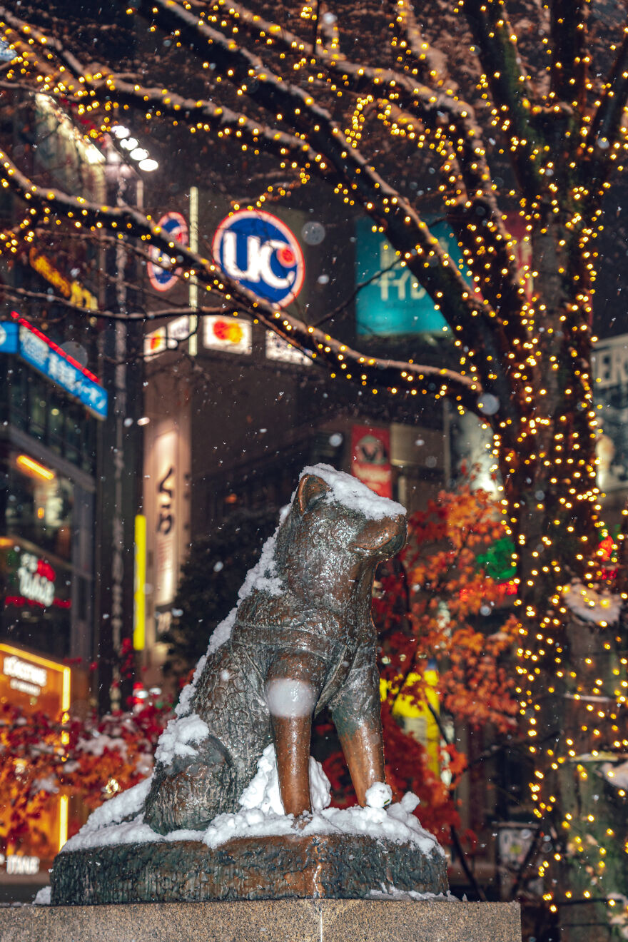 Tokyo Covered In Heavy Snow Captured By Yuichi Yokota