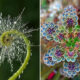 30 Of The Visually Perfect Examples Of Geometrical Symmetry In Nature