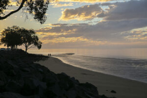 Tracey Bergmans, Australia