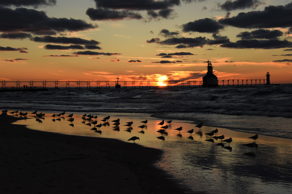 Beach Time GuruShots Challenge Winners