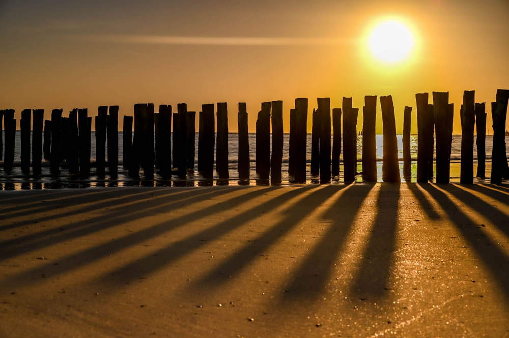 Beach Time GuruShots Challenge Winners