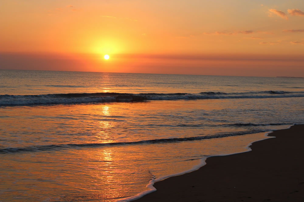 Beach Time GuruShots Challenge Winners