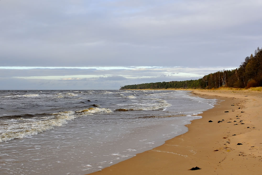 Beach Time GuruShots Challenge Winners