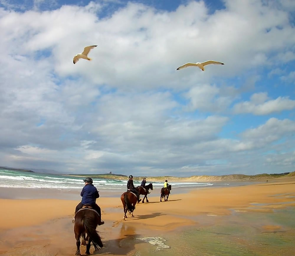 Beach Time GuruShots Challenge Winners