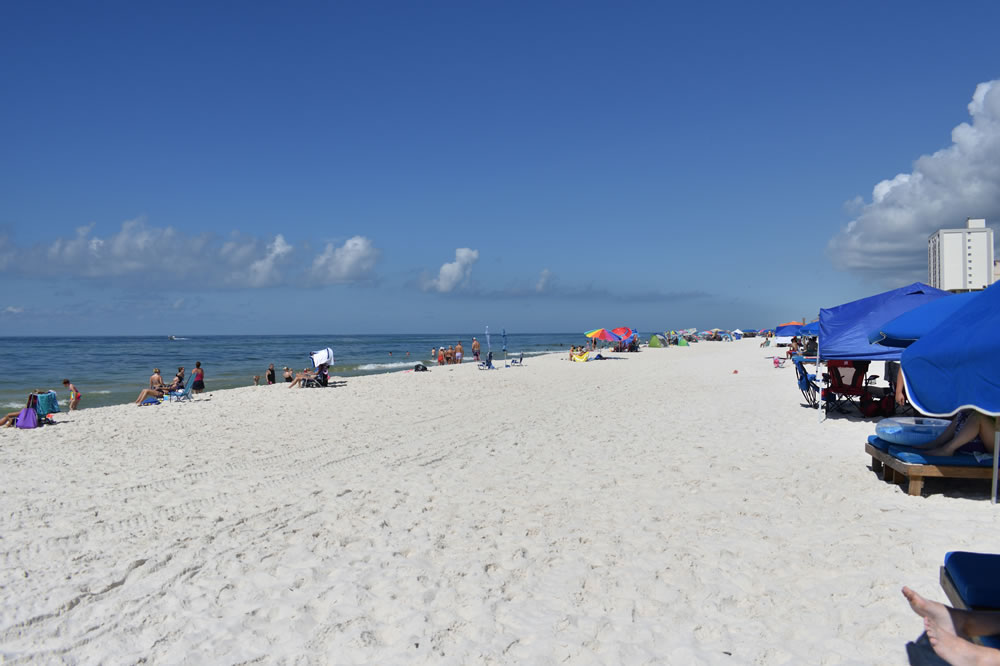 Beach Time GuruShots Challenge Winners