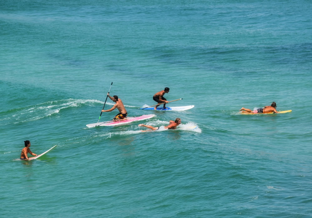 Beach Time GuruShots Challenge Winners