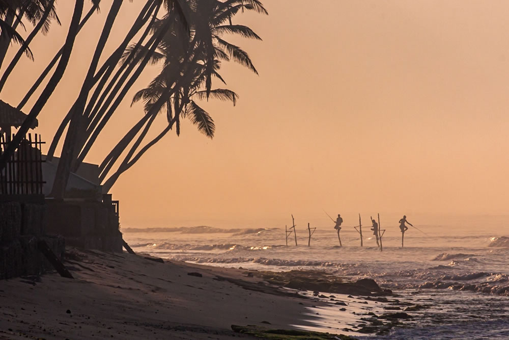 Beach Time GuruShots Challenge Winners