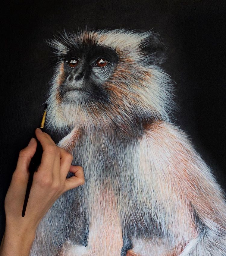 Realistic Animal Paintings By Sophie Green