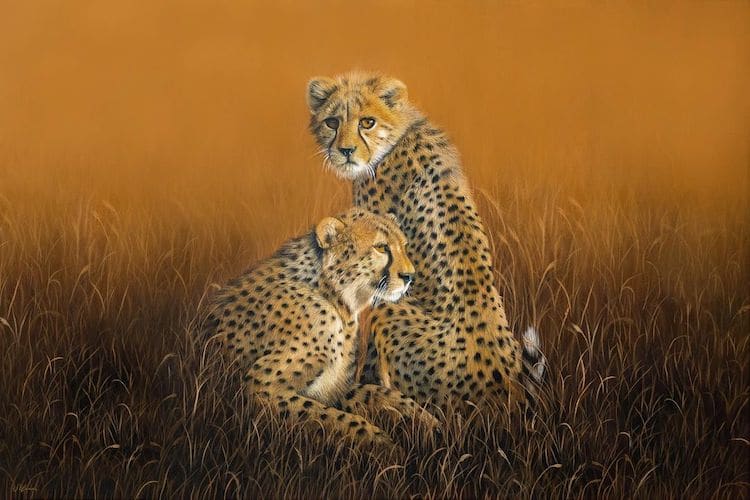 Realistic Animal Paintings By Sophie Green