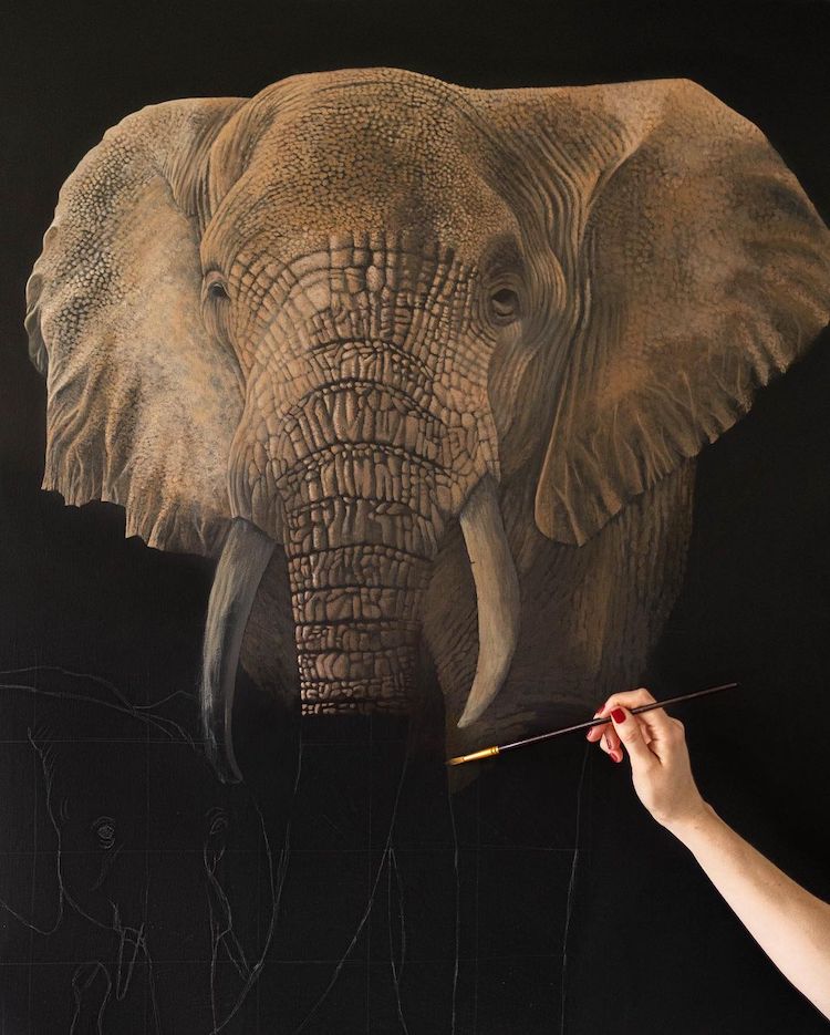 Realistic Animal Paintings By Sophie Green