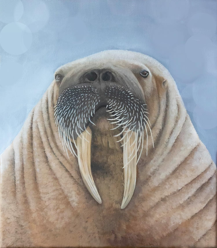 Realistic Animal Paintings By Sophie Green