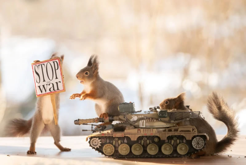 Anti-War Squirrel Photos As A Message Of Peace By Geert Weggen