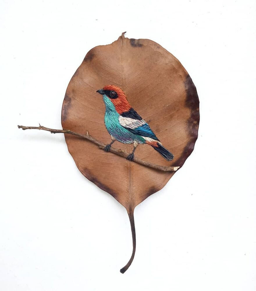 Embroidered Birds On Leaves By Laura Dalla Vecchia