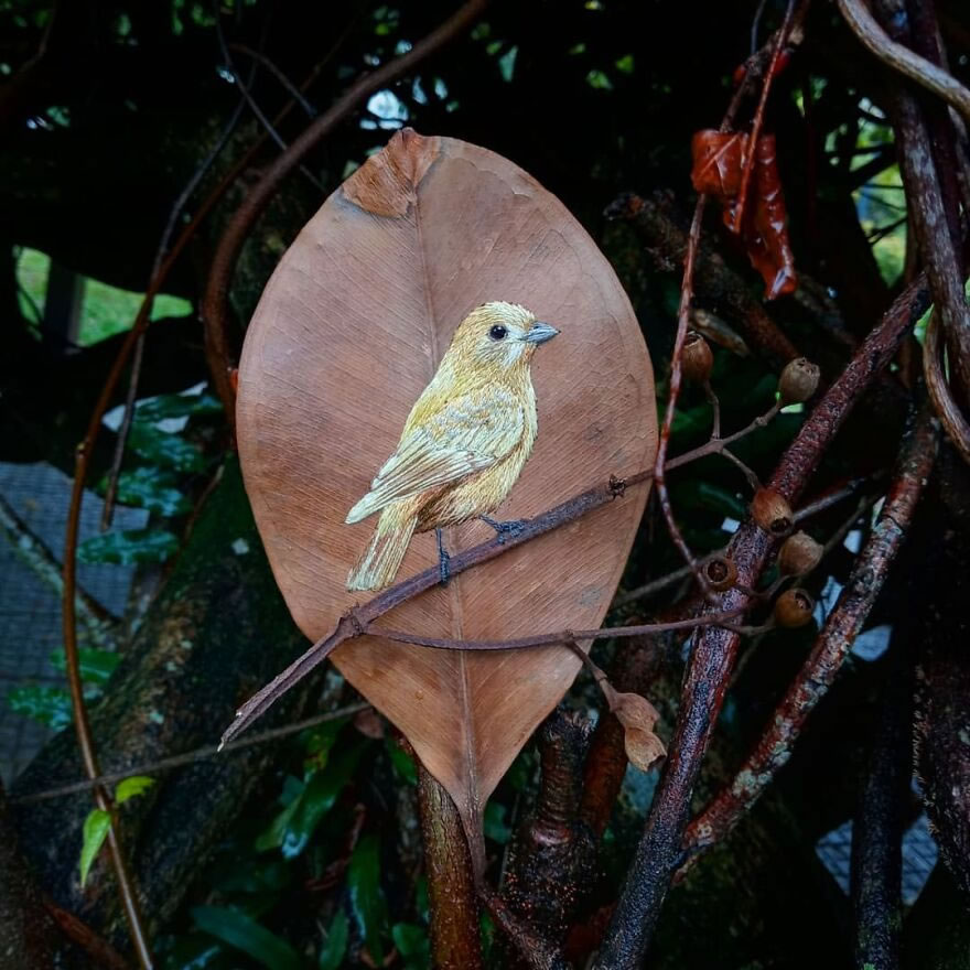 Embroidered Birds On Leaves By Laura Dalla Vecchia