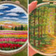 Stunning Embroidery Hoop Arts Of Natural Landscapes By Sew Beautiful